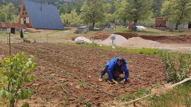 Yağmur Sonunda İzin Verdi Bahçeyi Ektik / Kırsal Yaşam / KÖYE GÖÇ смотреть онлайн