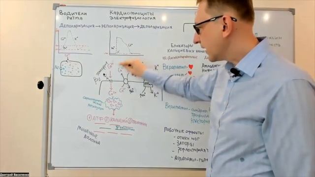 Дигоксин и блокаторы кальциевых каналов смотреть онлайн