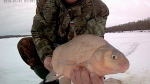 Зимняя рыбалка в Сибири на реке Обь.