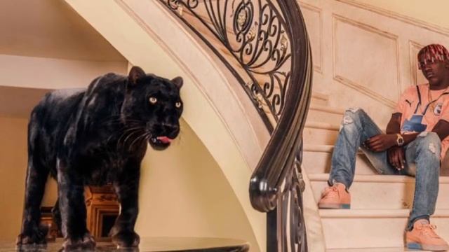 PINK DOLPHIN x PUMA SUEDE CLASSIC PACK/ S SNEAKERS смотреть онлайн