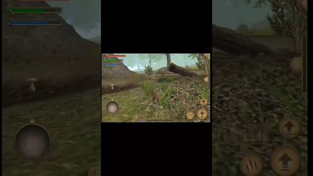 как найти дом в сеимуляторе мыши смотреть онлайн