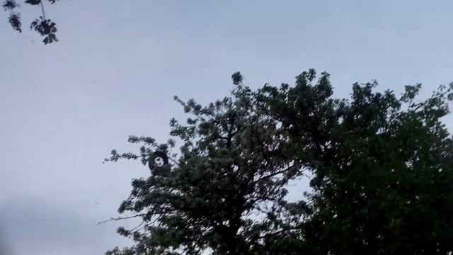 Хрущі над вишнями гудуть ! смотреть онлайн
