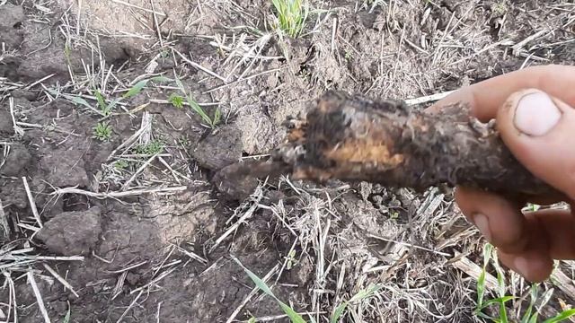 Поле с деструктором и без . смотреть онлайн