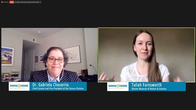 Science Division Live: Pollinator Week смотреть онлайн