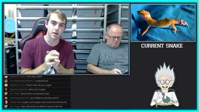 Intelligent Design Reptiles Auction смотреть онлайн