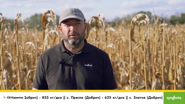 СИ Коринтос с ФАО 310 от Синджента, ви осигурява успех, дори в трудни условия. смотреть онлайн