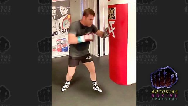Sergey Kovalev & Saul Canelo Alvarez (Short Training Clips) #CaneloKovalev - Artorias Boxing смотреть онлайн