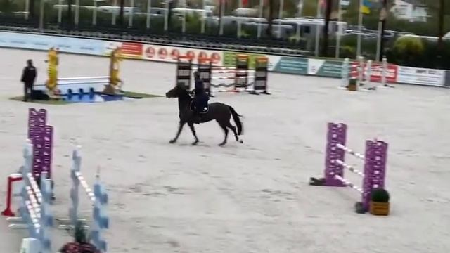 Jolanthe - Rik Hemeryck CSIYH 6 ans Oliva, 4 Novembre 2020 смотреть онлайн