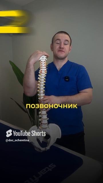 3 удивительных факта о позвоночнике от инструктора ЛФК #позвоночник смотреть онлайн