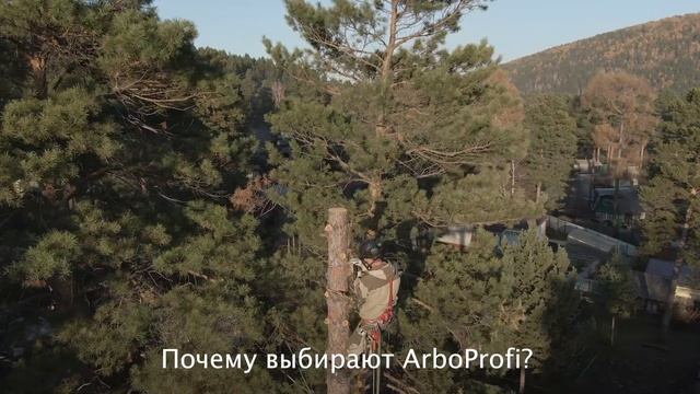 Компания Arboprofi смотреть онлайн