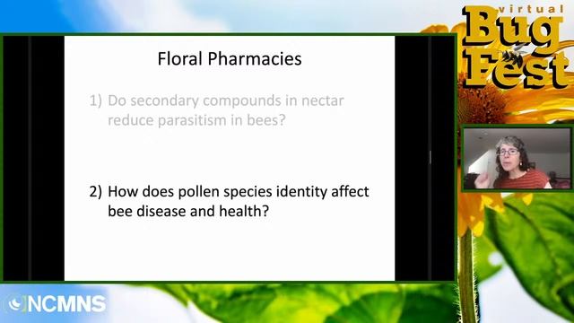 Floral Pharmacies for Native Bees смотреть онлайн
