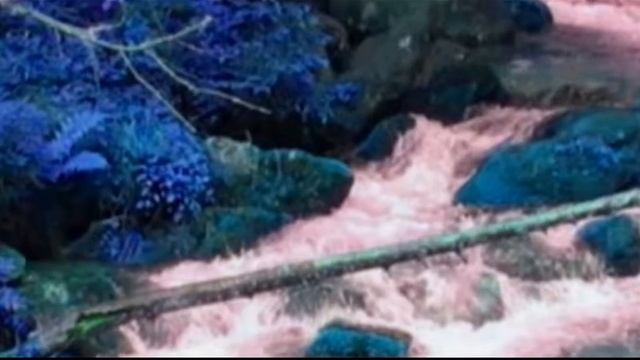 LA PIERRE DU TORRENT смотреть онлайн