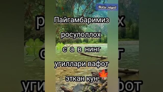 Пайғамбаримиз росулоллох с а в угиллари вафот этган кун
