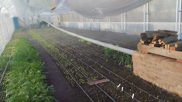 12 апреля 2025