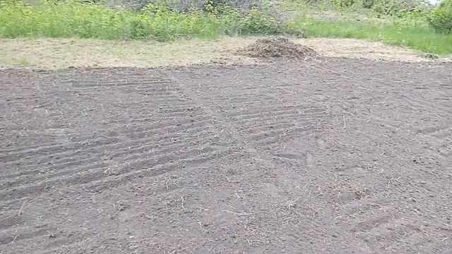 Етапи розробки цілини під посів мототрактором. Потихеньку розробляємо фазенду смотреть онлайн