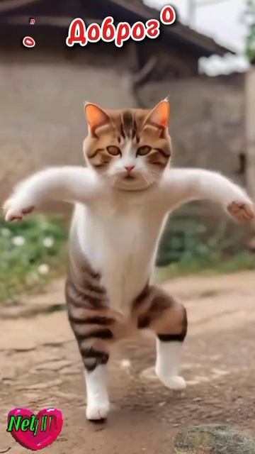 Добрый вечер.Доброе утро. ВидеоОткрытки на Каждый день. смотреть онлайн