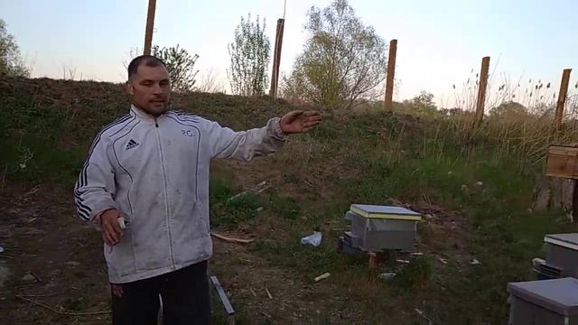 Делаем отводки и едим на рапс🐝🍯 смотреть онлайн