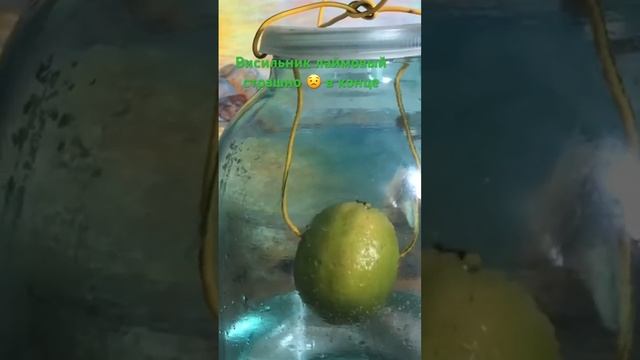 Висельник на лайме смотрите о бойтесь🥹 смотреть онлайн