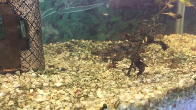 Это все очень опасно! смотреть онлайн