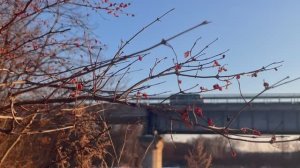 Доктор пропишите мне весну!