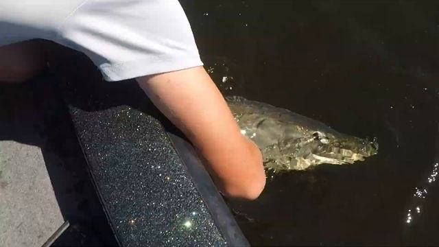 Muskie Bit Me! Lake of the Wood смотреть онлайн