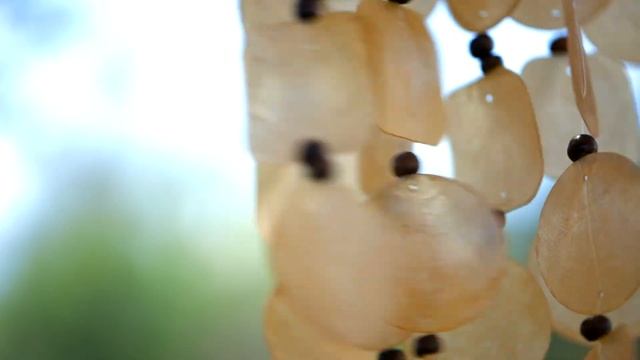 Summer Marigold Capiz Chime смотреть онлайн