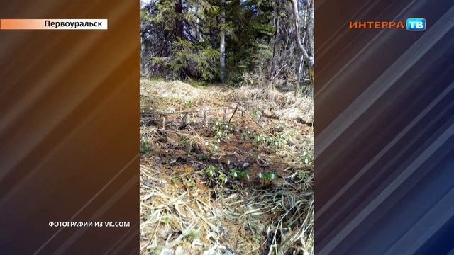 Подснежники Нарез 08 05 18 смотреть онлайн