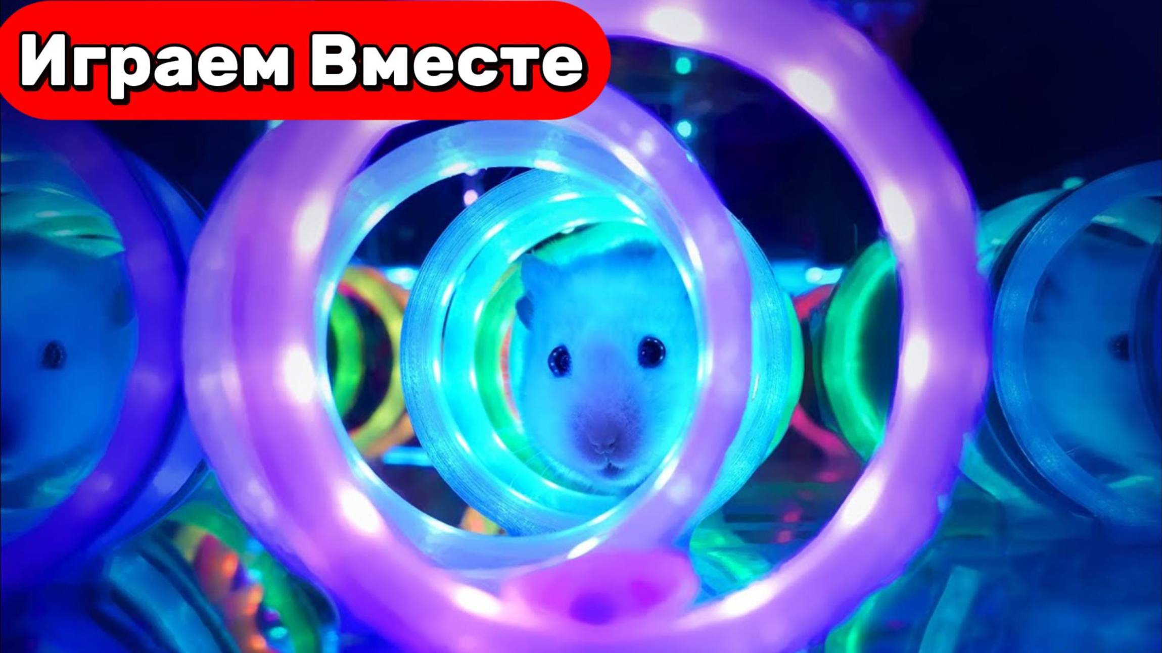 Лабиринт для Хомяка 🐷 Умный Хомяк в НЕОНОВОМ лабиринте: аквариум и Майнкрафт 🧱 смотреть онлайн