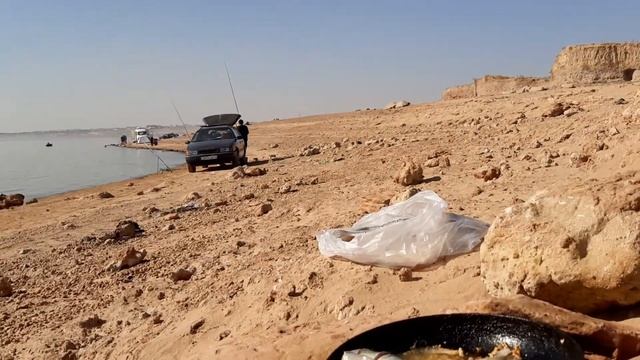 Шардара. Балық қуыру.