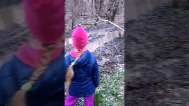 Ориентирование смотреть онлайн