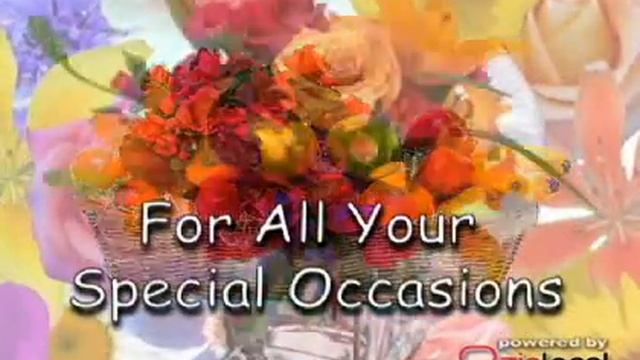 Exotica Florist & Gifts - (703)778-9779 смотреть онлайн