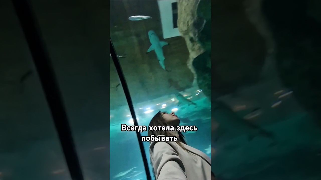 ОБЯЗАТЕЛЬНО СХОДИТЕ СЮДА! | КУДА СХОДИТЬ В МОСКВЕ