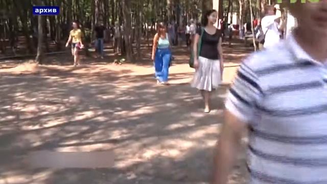 Летние каникулы пройдут с комфортом. Благодаря национальному проекту "Демография" смотреть онлайн