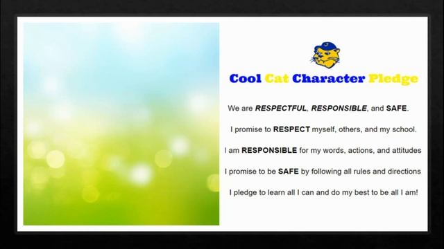 News Show 2-20-2020 смотреть онлайн