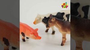 T50553 Ферма 8см6шт