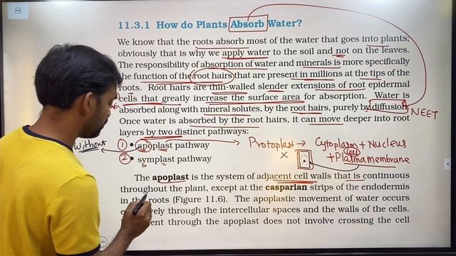 Transport in Plants | Part 4 | Thannambikkai Batch | NCERT Line to Line смотреть онлайн