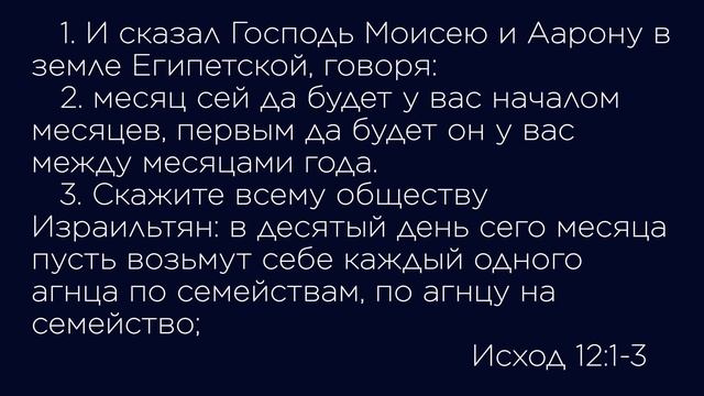 Поздравление старейшин ОЦХВЕ | Георгий Бабий, Василий Денисюк смотреть онлайн