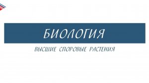 5 класс - Биология - Высшие споровые растения