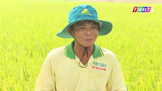 Vô Gạo Nhanh Khi Chuyển Mùa | Khuyến Nông - 24/6/2022 | THDT