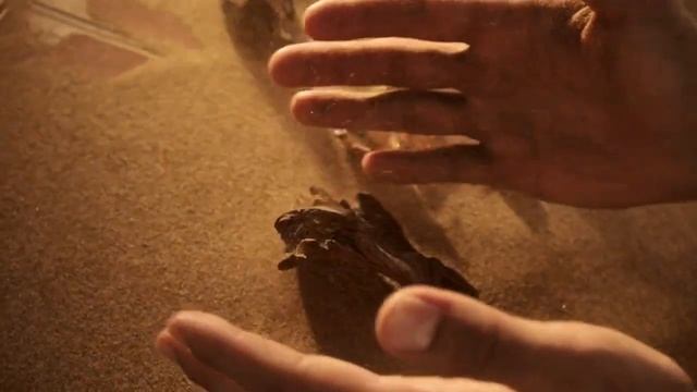 Sacred Wood / KILIAN