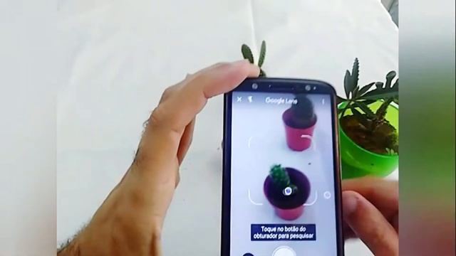 Como identificar qualquer planta usando apenas a câmera do celular смотреть онлайн