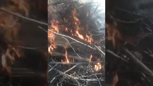 Красивый костёр 3 смотреть онлайн