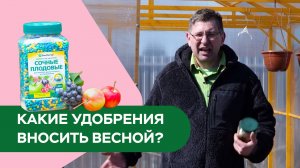 Какие удобрения вносить весной?