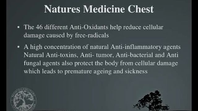Moringa Health Benefits смотреть онлайн