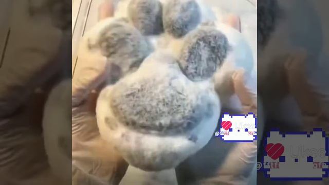 Лапка антистресс с историями 🤟✨🫐🍒🌷🍇💋 смотреть онлайн