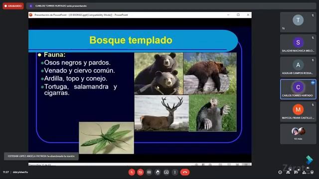 BIOMAS смотреть онлайн