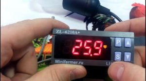 Терморегулятор lilytech zl 6210a 7а для инкубатора