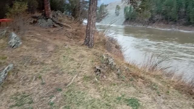 Здравствуй ♥️Алтай! смотреть онлайн
