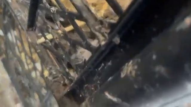 гуси смотреть онлайн