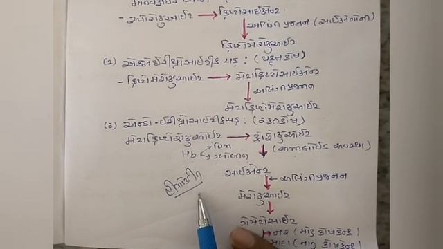 BIOLOGY/ CLASS 12/ CHAPTER 8 ( Part - 2) смотреть онлайн